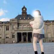 ヒメ日記 2026/04/02 18:20 投稿 むすぶ（説明不要の可愛さ！ ハニービー（Honey Bee）