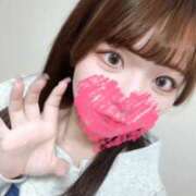 ヒメ日記 2026/04/03 12:23 投稿 むすぶ（説明不要の可愛さ！ ハニービー（Honey Bee）