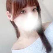 ヒメ日記 2026/04/03 16:33 投稿 むすぶ（説明不要の可愛さ！ ハニービー（Honey Bee）