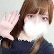 ヒメ日記 2026/04/04 12:23 投稿 むすぶ（説明不要の可愛さ！ ハニービー（Honey Bee）