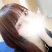 ヒメ日記 2026/04/04 21:36 投稿 むすぶ（説明不要の可愛さ！ ハニービー（Honey Bee）