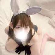 ヒメ日記 2026/04/05 08:03 投稿 むすぶ（説明不要の可愛さ！ ハニービー（Honey Bee）