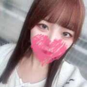 ヒメ日記 2026/04/05 12:23 投稿 むすぶ（説明不要の可愛さ！ ハニービー（Honey Bee）