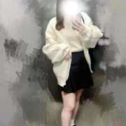 ヒメ日記 2026/04/06 16:23 投稿 むすぶ（説明不要の可愛さ！ ハニービー（Honey Bee）