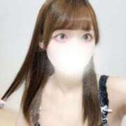 ヒメ日記 2026/04/06 23:13 投稿 むすぶ（説明不要の可愛さ！ ハニービー（Honey Bee）