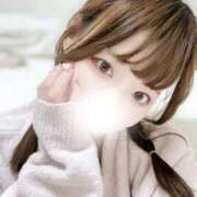 ヒメ日記 2026/04/07 03:33 投稿 むすぶ（説明不要の可愛さ！ ハニービー（Honey Bee）