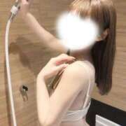 ヒメ日記 2026/04/07 22:33 投稿 むすぶ（説明不要の可愛さ！ ハニービー（Honey Bee）