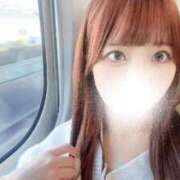 ヒメ日記 2026/04/08 00:43 投稿 むすぶ（説明不要の可愛さ！ ハニービー（Honey Bee）