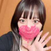 ヒメ日記 2026/05/17 12:23 投稿 むすぶ（説明不要の可愛さ！ ハニービー（Honey Bee）