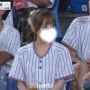 ヒメ日記 2026/05/19 12:13 投稿 むすぶ（説明不要の可愛さ！ ハニービー（Honey Bee）