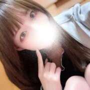 ヒメ日記 2026/05/25 12:33 投稿 むすぶ（説明不要の可愛さ！ ハニービー（Honey Bee）