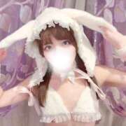 ヒメ日記 2026/08/27 09:13 投稿 むすぶ（説明不要の可愛さ！ ハニービー（Honey Bee）
