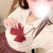 ヒメ日記 2026/10/04 17:03 投稿 むすぶ（説明不要の可愛さ！ ハニービー（Honey Bee）