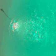 ヒメ日記 2025/12/06 22:35 投稿 まな IRIS(岐阜)