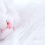 イブキ 𝓣𝓱𝓪𝓷𝓴 𝔂𝓸𝓾🧡 PINK PLANET