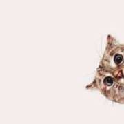 ヒメ日記 2026/03/16 13:15 投稿 イブキ PINK PLANET