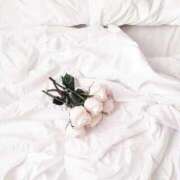 ヒメ日記 2026/03/19 08:15 投稿 イブキ PINK PLANET