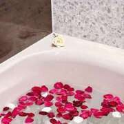 ヒメ日記 2026/04/07 07:15 投稿 イブキ PINK PLANET