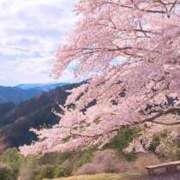 ヒメ日記 2026/04/08 12:25 投稿 イブキ PINK PLANET