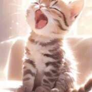 ヒメ日記 2026/04/09 10:15 投稿 イブキ PINK PLANET