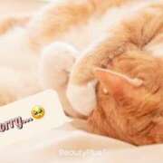 ヒメ日記 2026/04/24 08:05 投稿 イブキ PINK PLANET