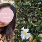 ヒメ日記 2025/12/25 21:52 投稿 みかげ（みかげ）ベーシック新人 aroma ace.