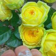 いちの 明日のご予約ありがとうございます✨ 熟女の風俗最終章 錦糸町店