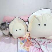 ヒメ日記 2026/02/11 20:56 投稿 ひまわり VIPクリスタル