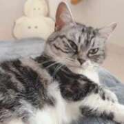 ヒメ日記 2026/02/12 21:17 投稿 ひまわり VIPクリスタル