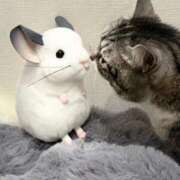 ヒメ日記 2026/03/01 15:01 投稿 ひまわり VIPクリスタル