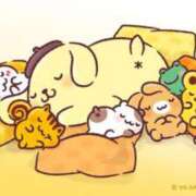 ヒメ日記 2026/02/11 13:50 投稿 文野【ふみの】 丸妻 西船橋店