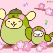 ヒメ日記 2026/03/25 09:47 投稿 文野【ふみの】 丸妻 西船橋店