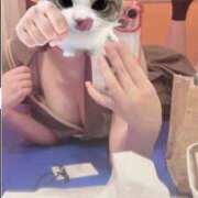 ヒメ日記 2026/03/31 18:45 投稿 りお ビデオDEはんど 名古屋校