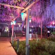 ヒメ日記 2026/04/20 01:15 投稿 りお ビデオDEはんど 名古屋校