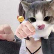 ヒメ日記 2026/05/13 13:35 投稿 りお ビデオDEはんど 名古屋校
