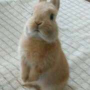 ヒメ日記 2026/01/09 23:21 投稿 しおん 春日部人妻花壇