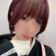 ヒメ日記 2026/02/14 20:06 投稿 ヒナタ リッチドールなんば店