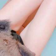 ももな おはようございます☀️ 千葉人妻セレブリティ（ユメオト）