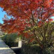 ヒメ日記 2025/12/08 09:44 投稿 新山　のあ YUDEN〜油殿〜谷九・日本橋店