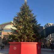 ヒメ日記 2025/12/12 02:27 投稿 ゆん ビアガーデンカーニバル