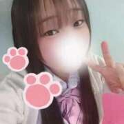 ヒメ日記 2026/02/12 13:42 投稿 らて 萌えカワ