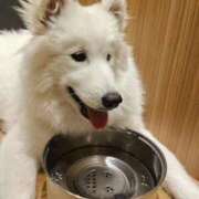 ヒメ日記 2026/02/20 11:37 投稿 らて 萌えカワ