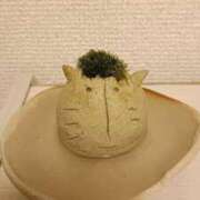 ヒメ日記 2026/02/26 15:31 投稿 らて 萌えカワ