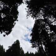 ヒメ日記 2025/12/09 10:06 投稿 藤森 奏 五十路マダム 徳島店