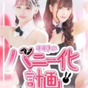 ヒメ日記 2026/02/03 09:13 投稿 りり ドMなバニーちゃん すすきの店