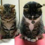 ヒメ日記 2026/02/10 09:21 投稿 りず 熟女の風俗最終章 宇都宮店