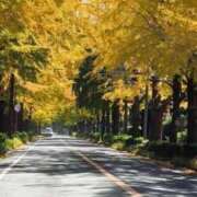 ゆきの 初！出勤に 厚木人妻城