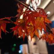 ヒメ日記 2025/12/07 11:14 投稿 ゆきの 厚木人妻城