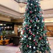 ヒメ日記 2025/12/09 14:28 投稿 ゆきの 厚木人妻城