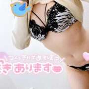 ヒメ日記 2026/03/12 11:42 投稿 七井 新宿人妻城